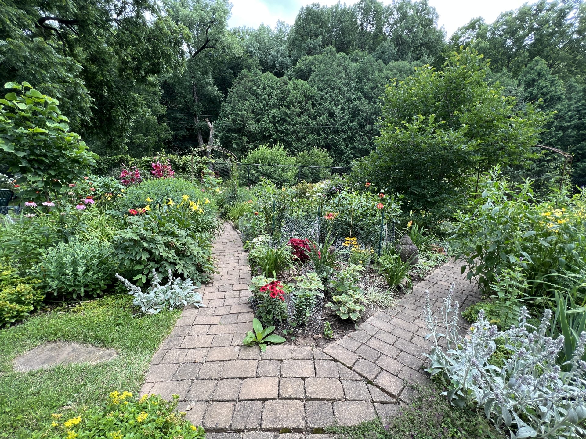 IMG_3752 Garden Photo